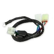 Cable de conexión 2 para Ordenador del motor Trex Skyteam 50-125cc EURO4