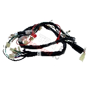 Cableado completo 36610-17H02 de Skymax 50cc 125cc (tras 10-2015)