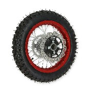 Rueda trasera 12'' ROJA para Pit bike AGB27