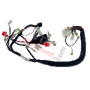 Cableado completo 36610-16H10 para Monkey - Gorilla LE MANS 50cc o 125cc (Antes 10-2015)