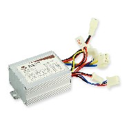 regulador de intensidad regulable Mini Quad 36V 350W