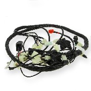 Cableado completo de quad Spy Racing 250F3