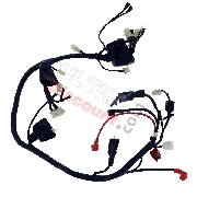 Cableado completo de quad Shineray 200ST-9