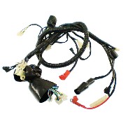 Cableado completo de quad Shineray 200cc STIIE