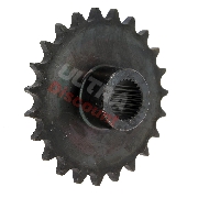 Piñón de 23 dientes para quad Shineray 250cc ST-9C