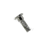 Tornillo de fijación de disco para quad Shineray 250cc (19.5mm)