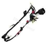 Cableado completo de quad Shineray 200cc (XY200ST-6A)