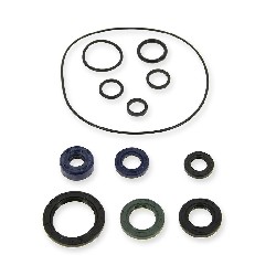 Paquete de juntas aceite 125cc para PBR Skyteam EURO4, Recambios PBR Skyteam ZB Honda