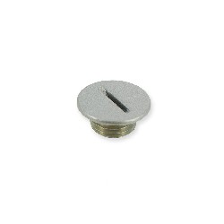 Tapa de cárter alternador para quad Spy Racing 250 F1