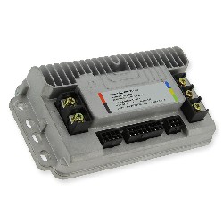 Regulador de intensidad 1500w para Citycoco (typo2)