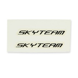Adhesivo SkyTeam x2 (blanco-negro)
