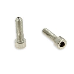 Par de tornillos M8 30mm quad chasis (cromo), Herramientas y tornillos