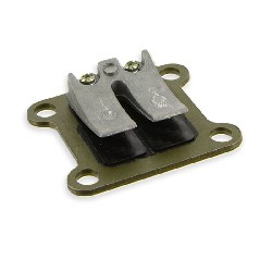 Lámina carbon para minimotos