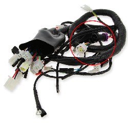 Cableado completo de quad Shineray 250cc STXE (type2)