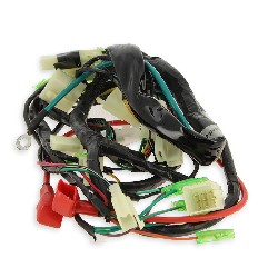 Cableado completo de Skyteam V-Raptor, Recambios V-Raptor Skyteam