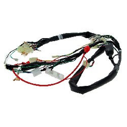 Cableado 36610-17H01 completo de Skymax 50cc 125cc (antes 10-2015), Recambios Dax Skymax