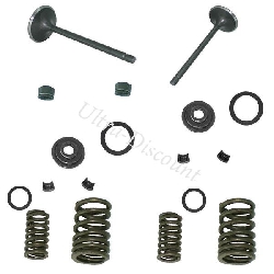 Kit de válvulas para quad Shineray 250cc STXE, Piezas Shineray 250 STXE