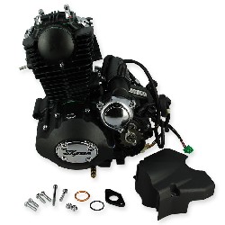 Motor 50cc verticale (139FMA) para Skyteam ACE (Negro)