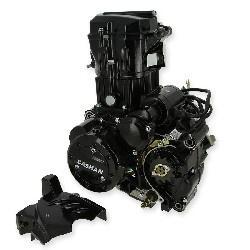 Motor completo 167MM EURO4 de Quad Bashan 250cc (BS250AS-43)