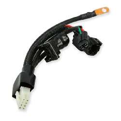 Cable de conexión 1 para Ordenador del motor Trex Skyteam 50-125cc EURO4