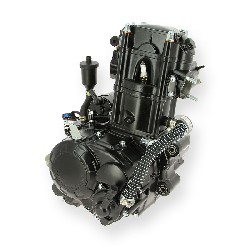 Motor completo de Quad Spy Racing SPY250F1 (ZS169MM )