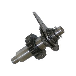 Piñonería de marcha atrás quad Shineray 200cc STIIE, Recambios Shineray 200STIIE y STIIEB