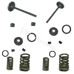 Kit de válvulas para quad Shineray 250cc ST-9E