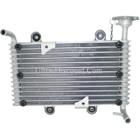 Radiador Quad Bashan 200cc (BS200S-7) Bilder 1