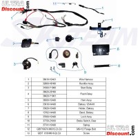 Cableado completo de Monkey - Gorilla Skyteam 50cc EURO4 Bilder 1